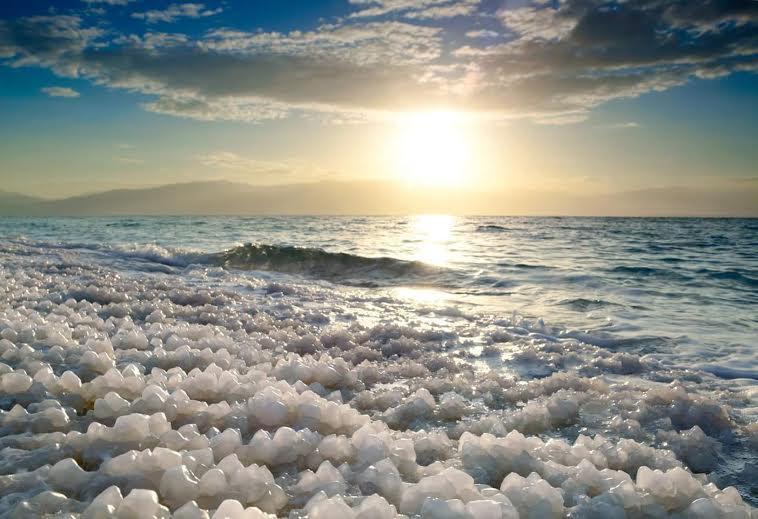 Hotel Rose Dead Sea Neve Zohar Exteriér fotografie